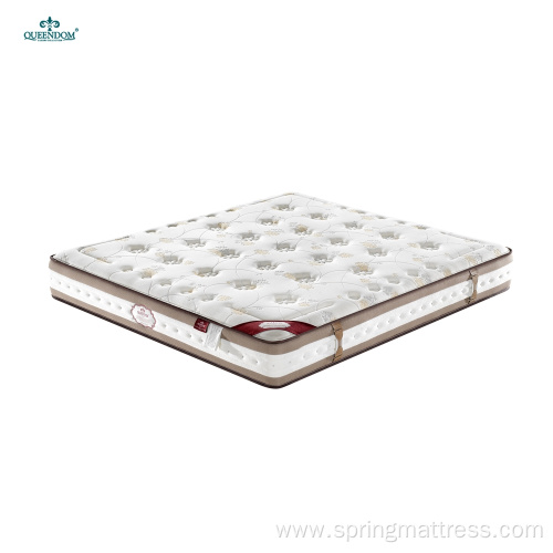 Single for Kids Comfort Foam Pocket Spring Mattresses